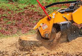 Best Stump Grinding and Removal  in Mbria, CA